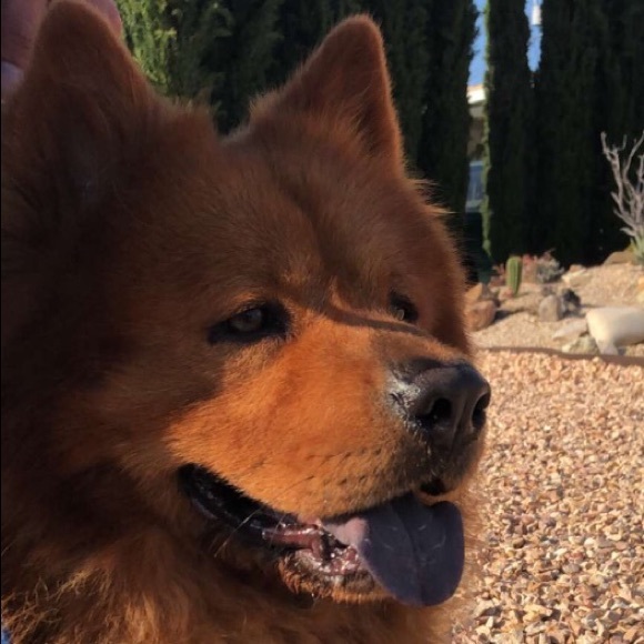 Meet your Posher, Andrew - Picture 1 of 1